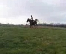(50)Pekny cval